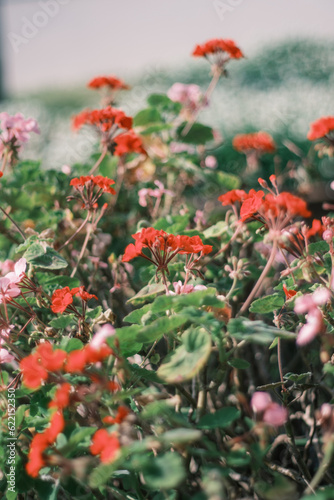 福岡天神の街並み
