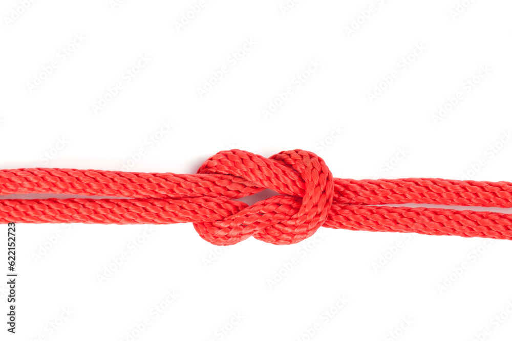reef knot isolated on white dbackground