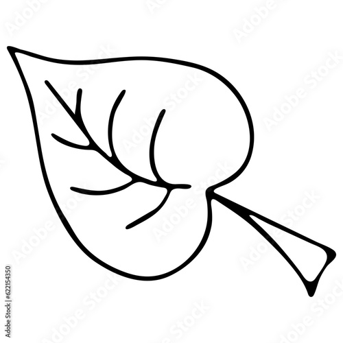 Vector Leaf Illustration on White Background. Leaf Image in Line Art Style. Coloring Page for Kids. Black and White Coloring Book.