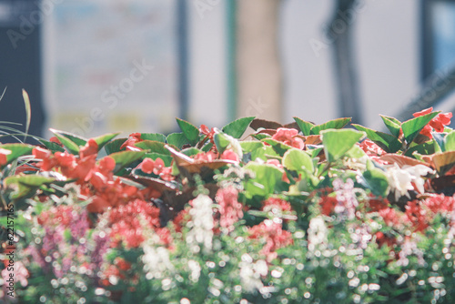 福岡天神の街並み