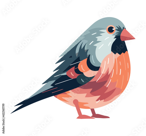 Colorful bullfinch design