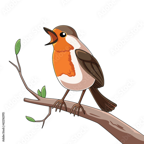 Robin Bird Vector full color, isolated white background