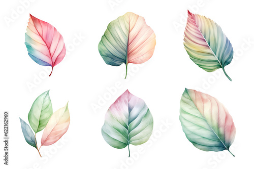 colorful watercolor pastel leaves elements collection isolated on transparent background