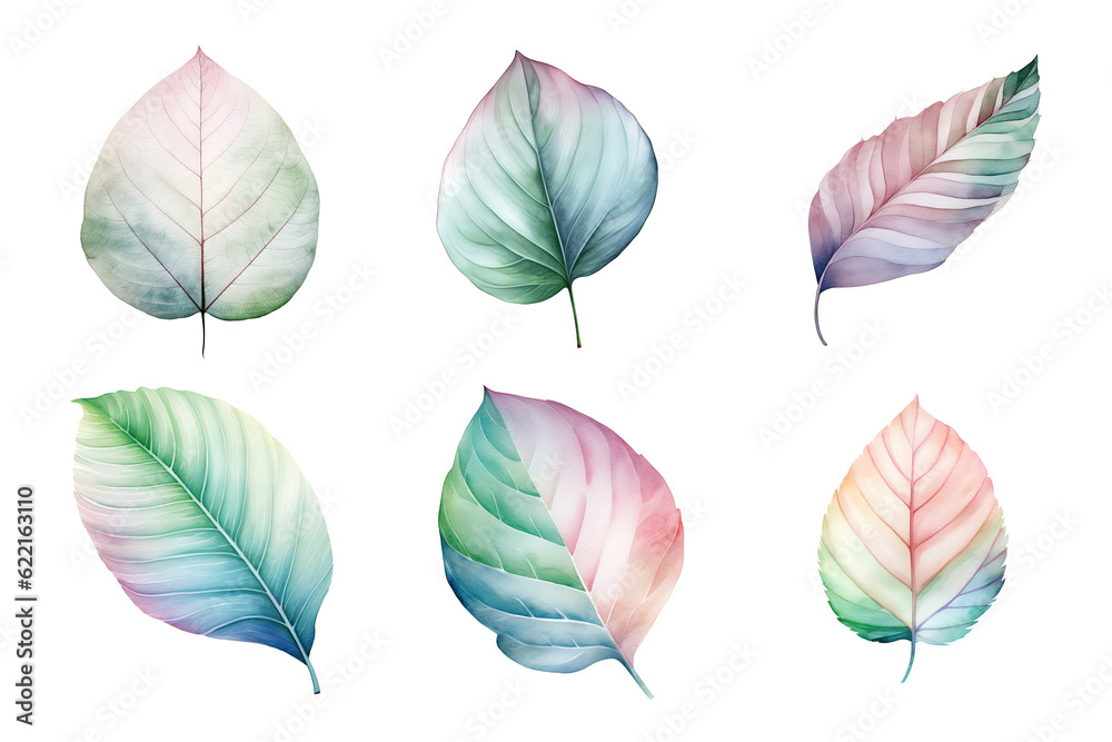 Obraz premium colorful watercolor pastel leaves elements collection isolated on transparent background
