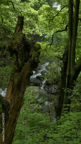 Waterfall deep in the mountains