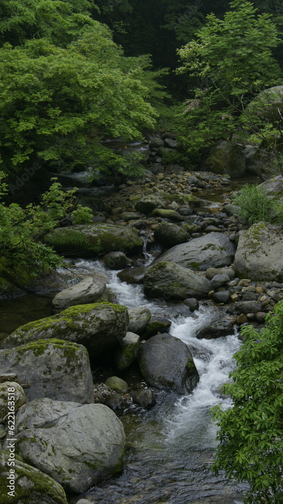 stream in the mountains stream in the mountains