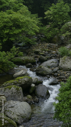 stream in the mountains