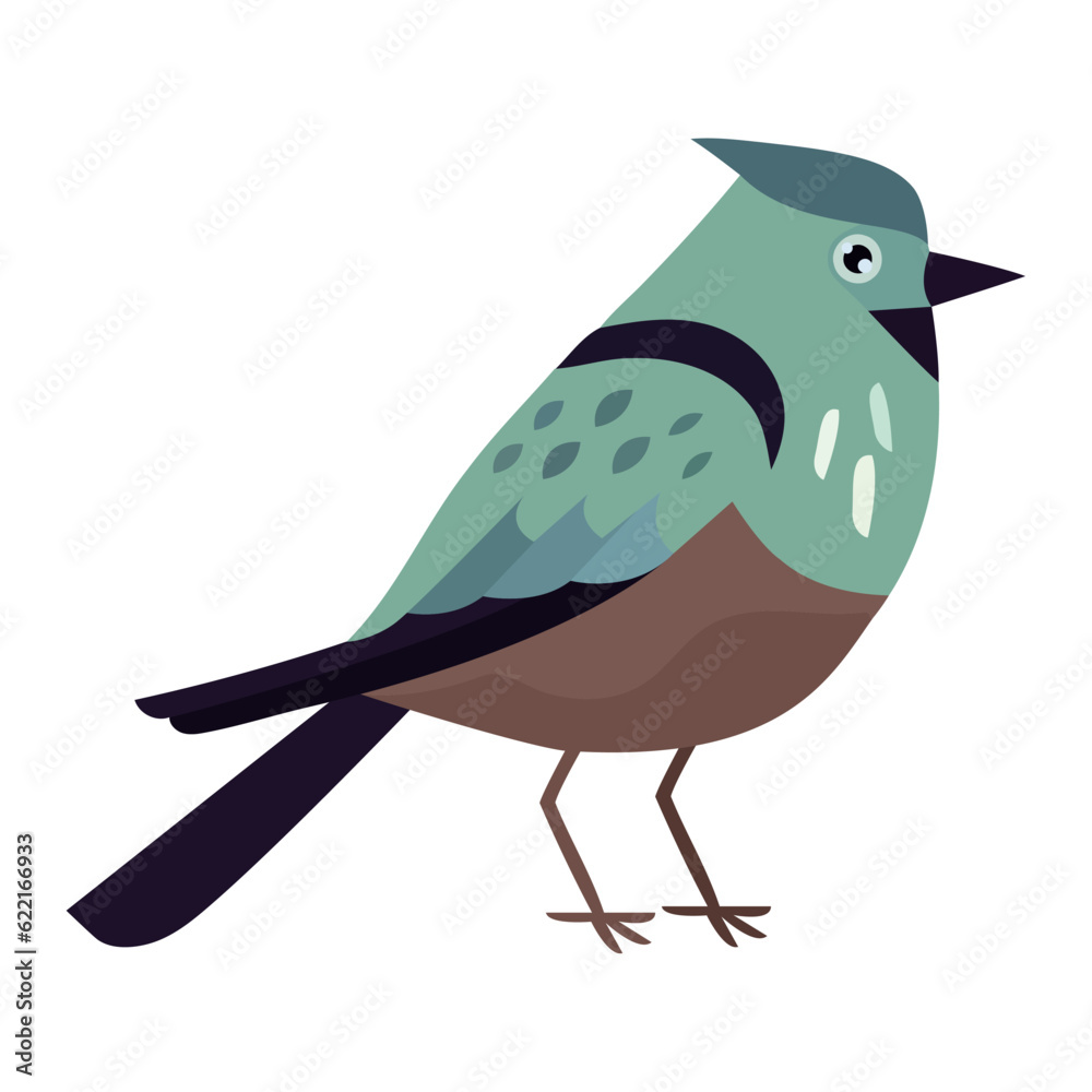 Cute bird perching