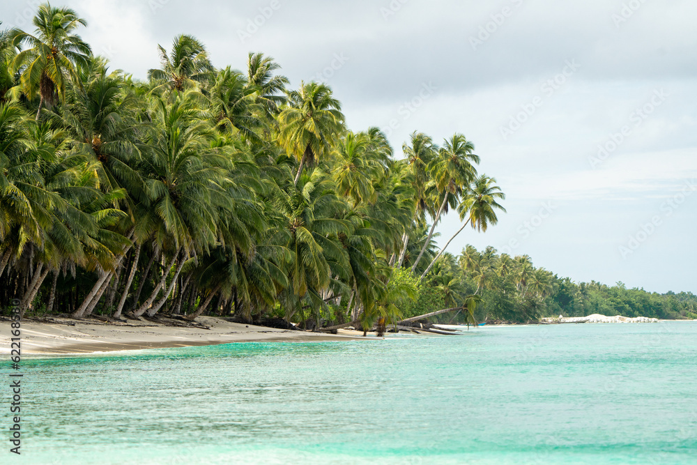 Obraz premium Paradise Found: Serene Tropical Beach Bliss with Palm Trees, Soft Sand, and Crystal Blue Ocean