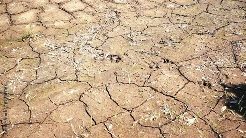 Harsh Realities: Exploring Dry Soil and the Impact of El Niño during the Dry Season