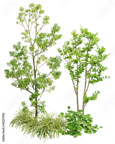 Konstfotografi 植物の寄せ植え