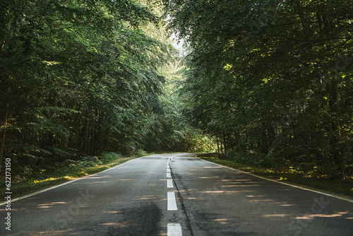 Landscape with empty asphalt road through woods in summer. Beautiful rural asphalt road scenery. Beautiful roadway. Trees with green foliage and sunny sky.