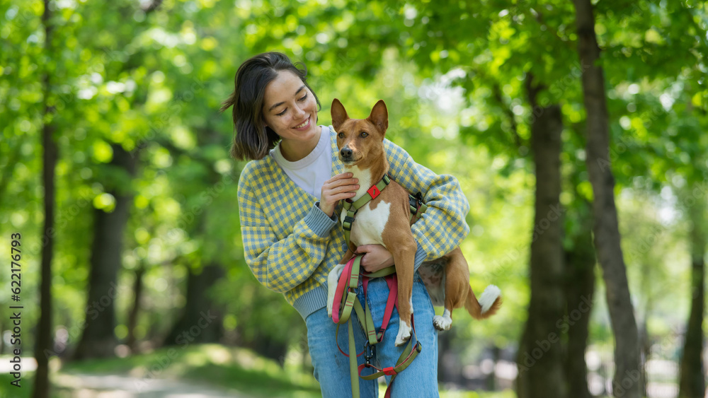 Fototapeta premium A young beautiful woman holds a dog in her arms for a walk. non-barking african basenji dog.