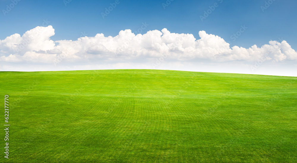 Landscape with green grass field under a blue sky Landscape with green grass field under a blue sky