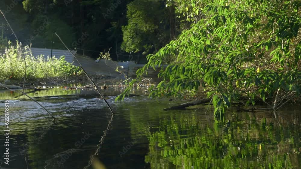 Running River Lake with Debris in it Running River Lake with Debris in it