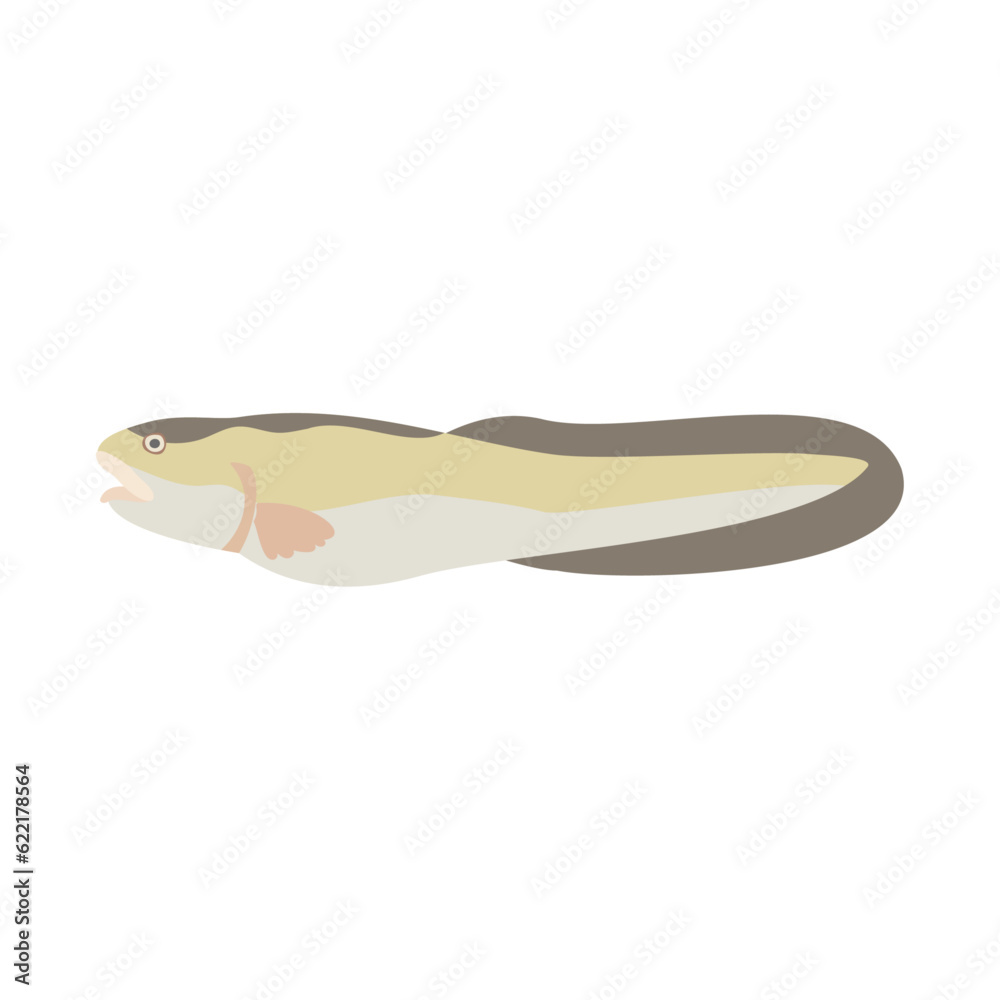 タナカゲンゲ。フラットなベクターイラスト。
Tanaka's Eelpout. Flat designed vector illustration. タナカゲンゲ。フラットなベクターイラスト。
Tanaka's Eelpout. Flat designed vector illustration.
