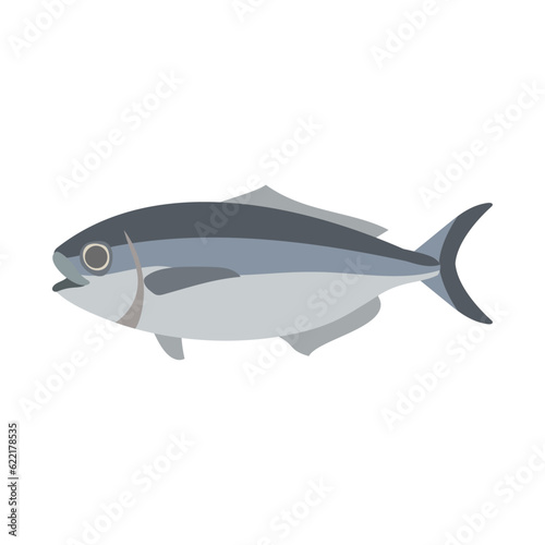                                                        Japanese butterfish  Pacific barrelfish . Flat designed vector illustration.
