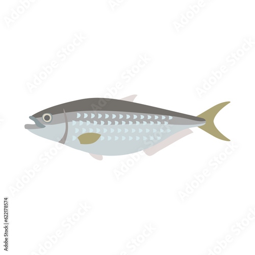 ヒラ。フラットなベクターイラスト。 Chinese herring (slender shad). Flat designed vector illustration.