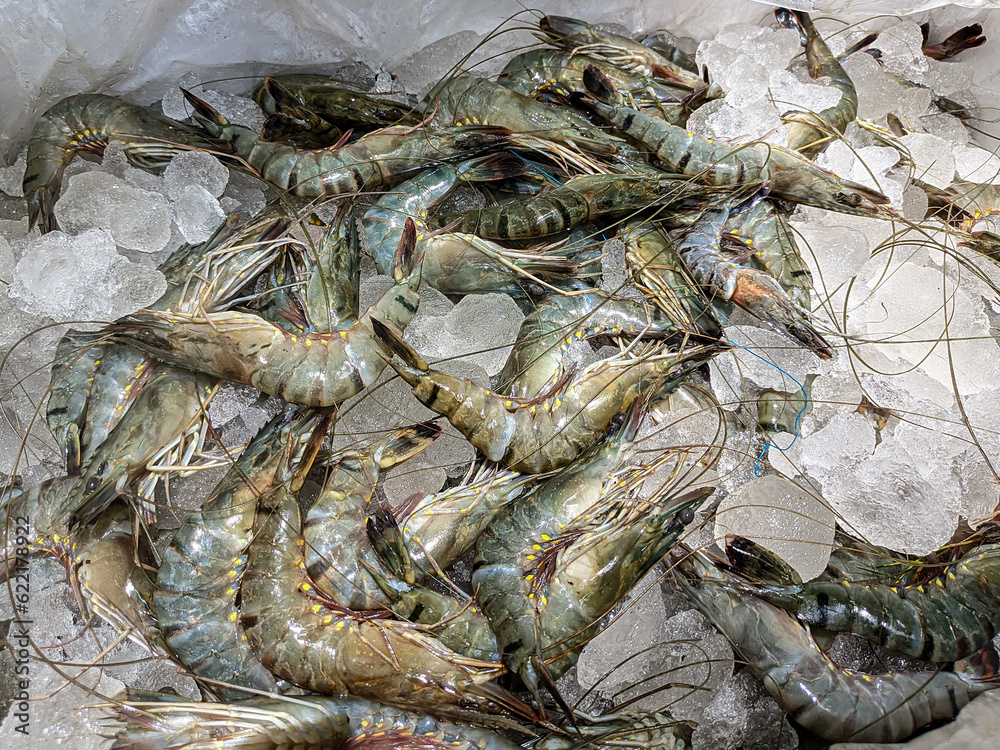 fresh shrimp on the market,Shrimp in ice,prawn,shrimp fish in ice.