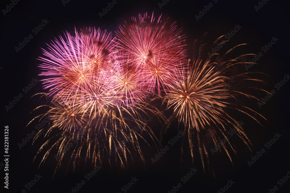 fireworks in the night sky fireworks in the night sky