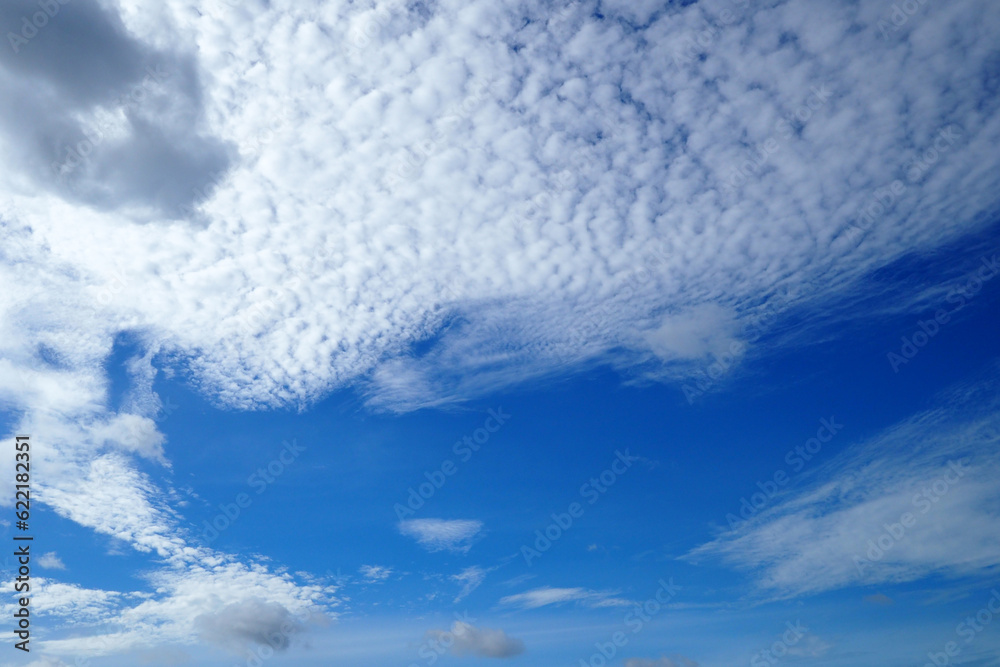 Obraz premium clouds in the sky