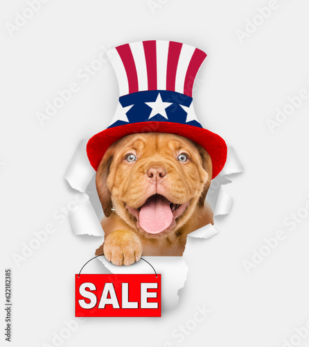 Happy Mastiff puppy wearing like Uncle Sam looking through a hole in paper and shows signboard with labeled "sale". isolated on white background © Ermolaev Alexandr