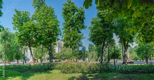 Sobornaya square in Odessa, Ukraine photo