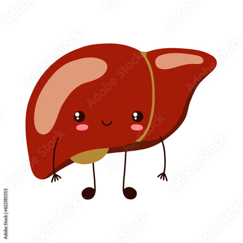 Liver cartoon character. Healthy liver. Internal organs. Stock vector cartoon illustration on a white background.