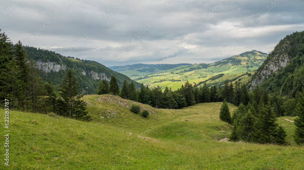 Beautiful summer landscape in the Appenzeller Land during a hike towards Seealpsee in Switzerland. green meadows in the foreground, mountains and forest in the background. Copy space. Beautiful summer landscape in the Appenzeller Land during a hike towards Seealpsee in Switzerland. green meadows in the foreground, mountains and forest in the background. Copy space.