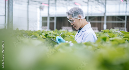Fotografía The farm owner efficiently scans, examines, and analyzes all aspects of the agricultural infrastructure, documenting routine maintenance, conditions, and expert reports, ensuring quality and safety