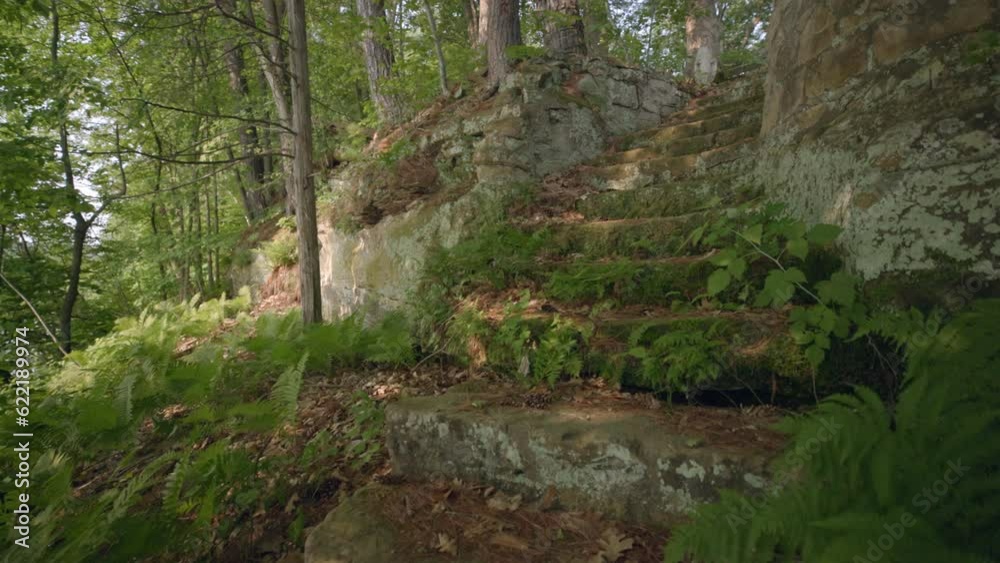 Slowly moving up moss covered brick stairway in the forest Slowly moving up moss covered brick stairway in the forest