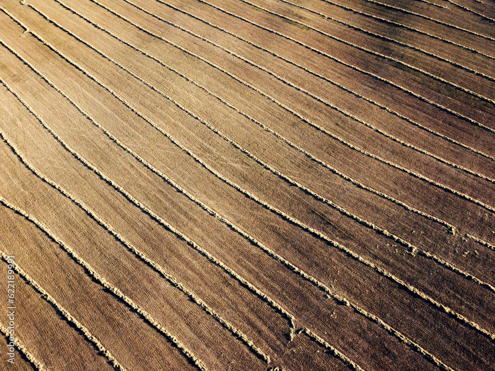 Aerial view of a fresh harvest crop field