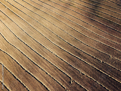 Obraz na płótnie Aerial view of a fresh harvest crop field w salonie