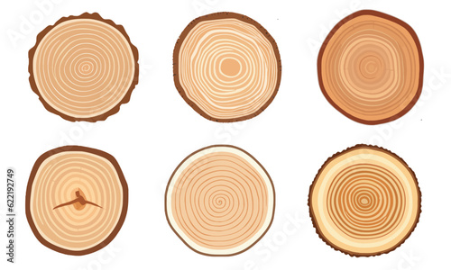 Tree trunk wood rings. Wooden elements with tree rings. wood slice cut collection