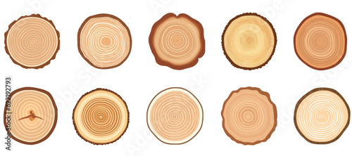 Tree trunk cross section set. Tree rings, tree trunk rings isolated, wood ring circle texture collection.