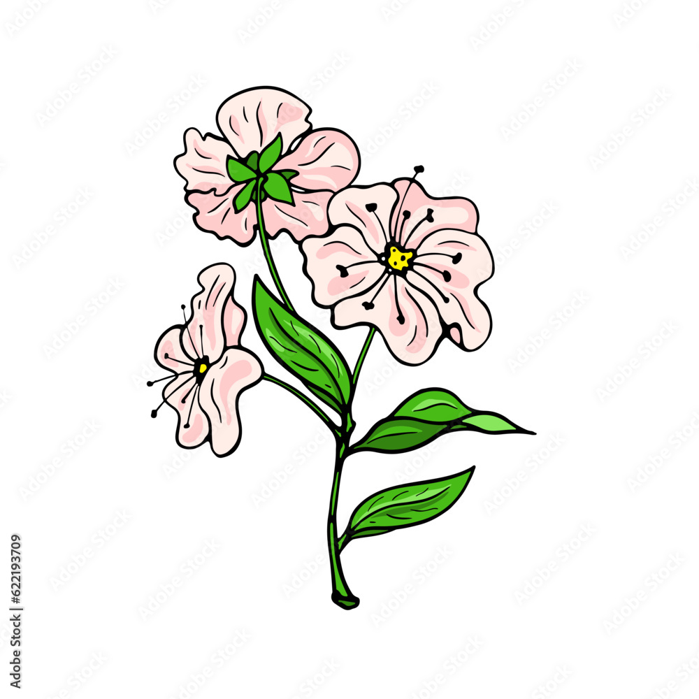 Pink tree flowers. Hand-drawn flat image. Vector illustration.