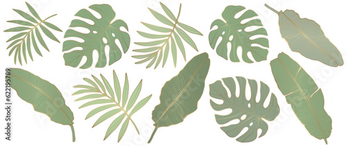 Tropical set of green branches and leaves with a golden outline on a white background. Palm leaves, banana leaves, monstera leaves. Botanical elements for decor, various patterns.