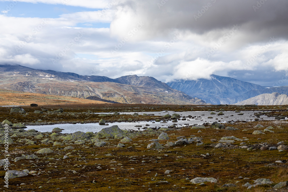 Valdresflye - Jotunheimen, Norwegen 8