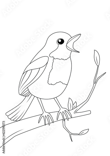 Robin Bird on the twig, coloring page for kids, vector black and white line drawing isolated white background