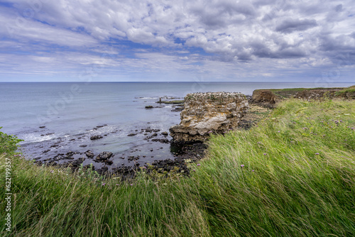 A short walk away from the Souter Lighthouse near Sunderland is this fabulous sea stack - Jack Rock with its population of Cormorants and Gulls