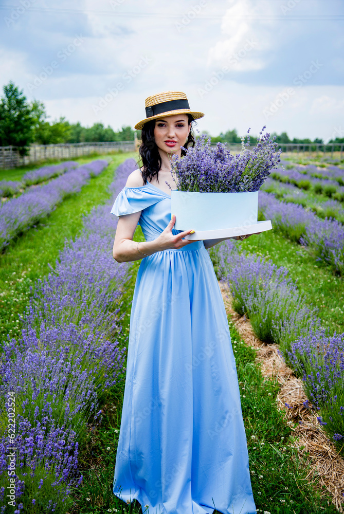 Obraz premium happy smiling beautiful brunette woman in a blue dress and straw hat in a lavender field holding round gift box with lavender flowers in her hands