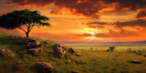 View of the African savannah at sunset