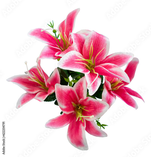 Принти на полотні pink lily flowers bouquet isolated