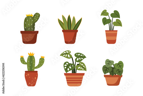 Houseplant on a pot collection flat illustration isolated on white background