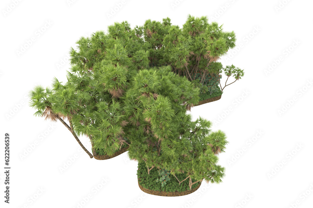 Fototapeta premium Tropical landscape isolated on transparent background. 3d rendering - illustration