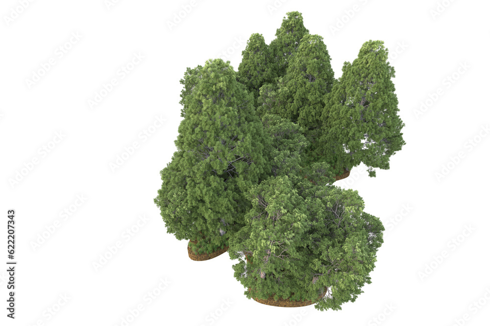 Tropical landscape isolated on transparent background. 3d rendering - illustration Tropical landscape isolated on transparent background. 3d rendering - illustration