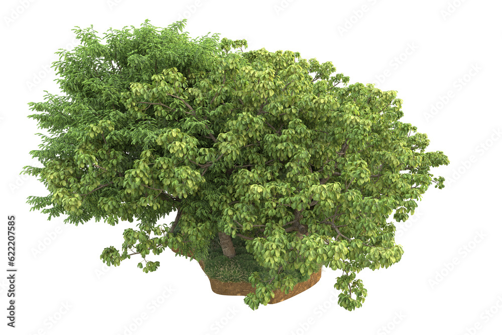 Obraz premium Tropical landscape isolated on transparent background. 3d rendering - illustration