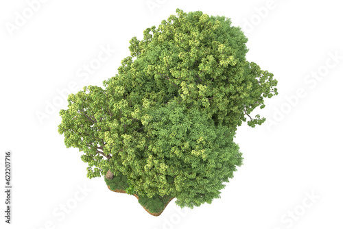 Tropical forest isolated on transparent background. 3d rendering - illustration