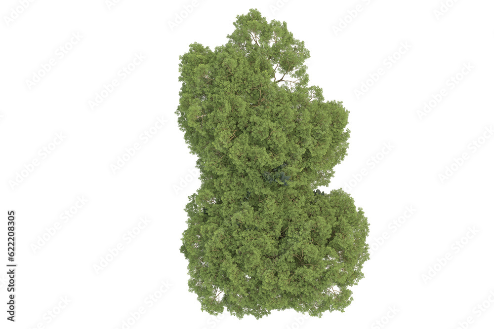 Tropical landscape isolated on transparent background. 3d rendering - illustration Tropical landscape isolated on transparent background. 3d rendering - illustration