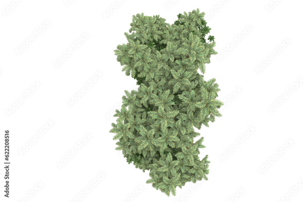 Tropical landscape isolated on transparent background. 3d rendering - illustration Tropical landscape isolated on transparent background. 3d rendering - illustration